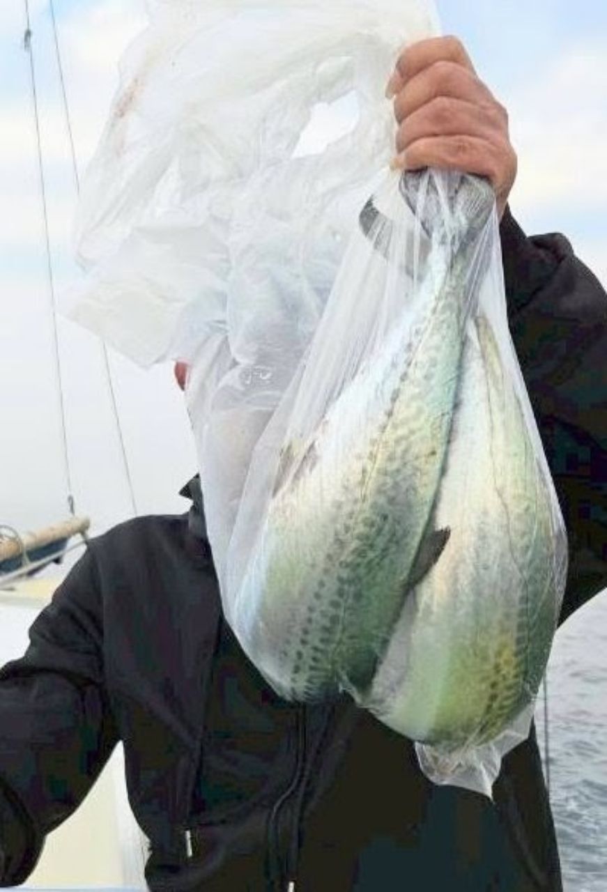 釣り船西野屋さんの釣果 3枚目の画像