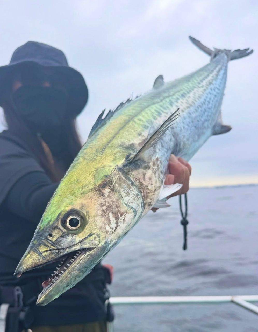 甲斐大地さんの釣果 3枚目の画像