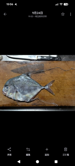 イトヒキアジの釣果