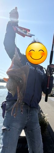 東京湾（アクアライン〜富津）