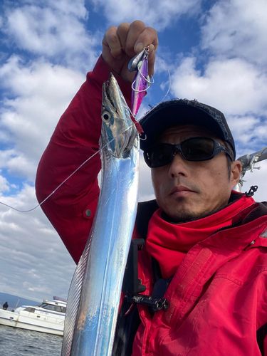 タチウオの釣果