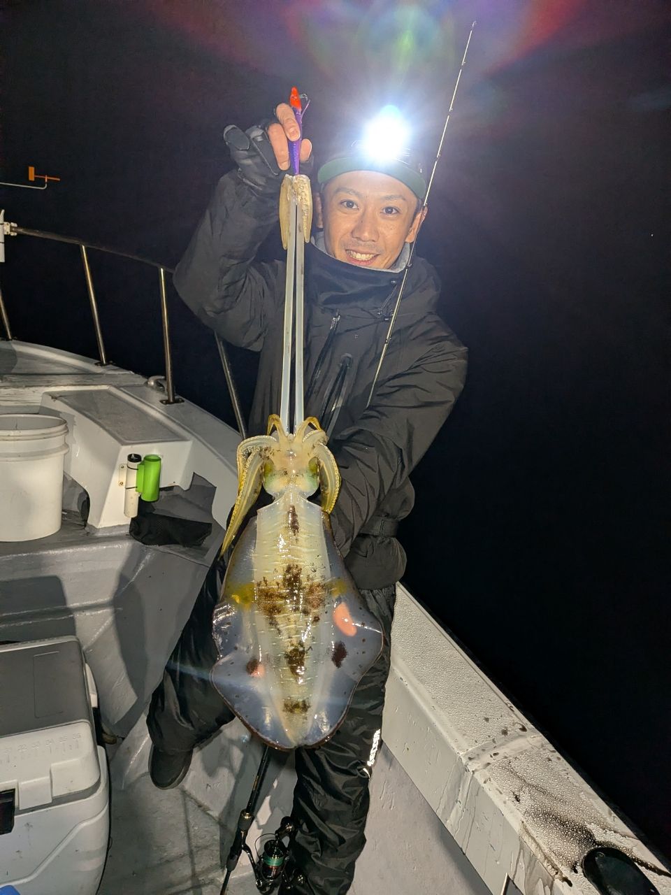 和歌山遊漁船SevenSWellさんの釣果 3枚目の画像