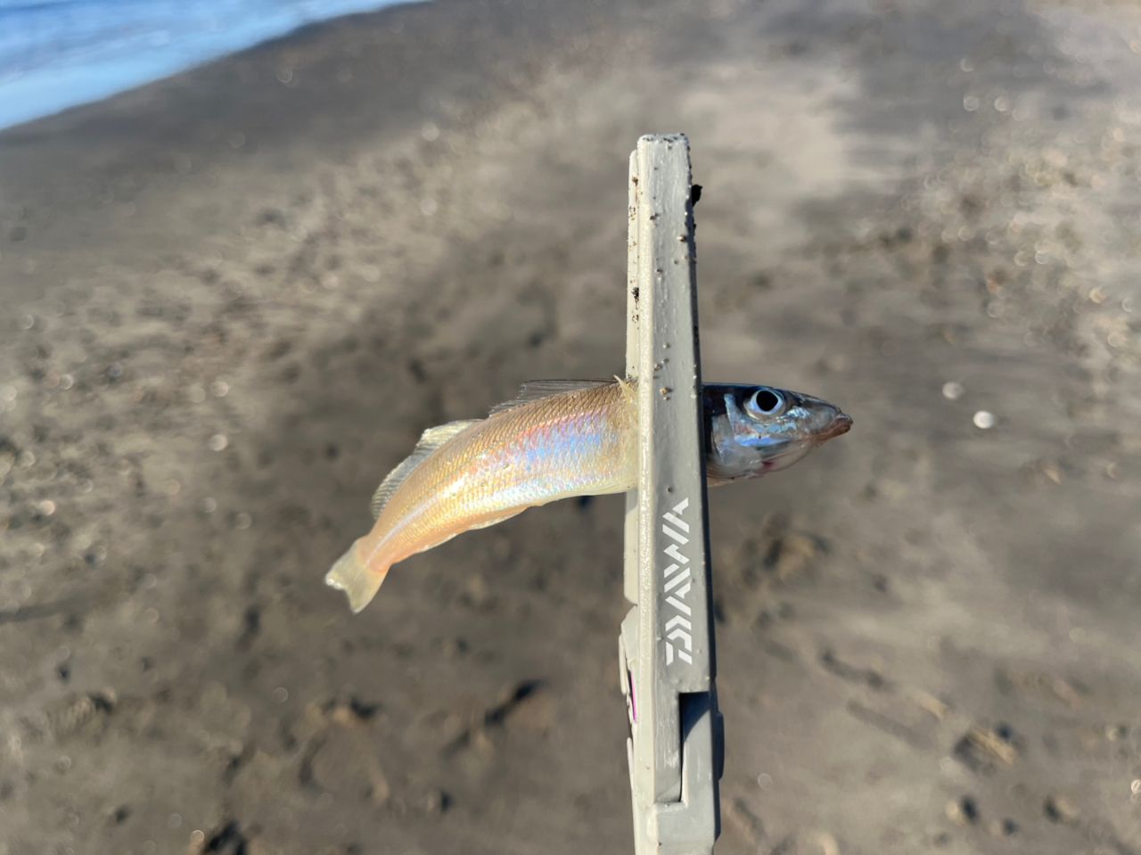 DAIWA 23エメラルダス ストイスト ST（アウトガイドモデル） 88ML-SMT