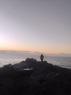 アカハタの釣果