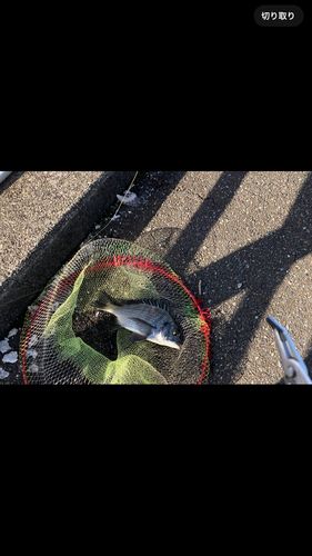 大野川（石川）