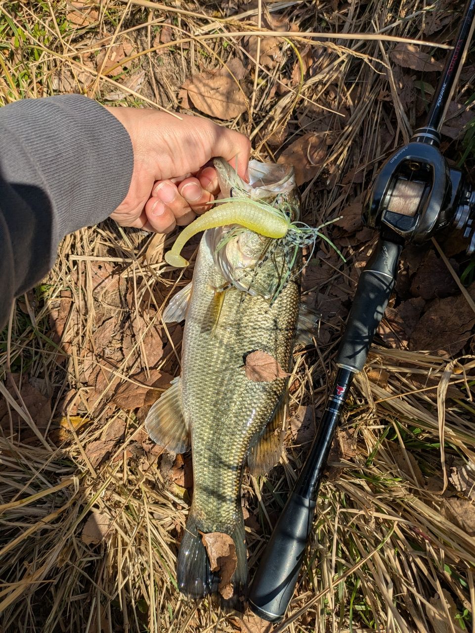 SHIMANO 18ポイズン アドレナ 1610MH-2の最安値・インプレ・釣果