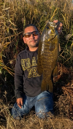 スモールマウスバスの釣果