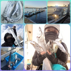 タチウオの釣果
