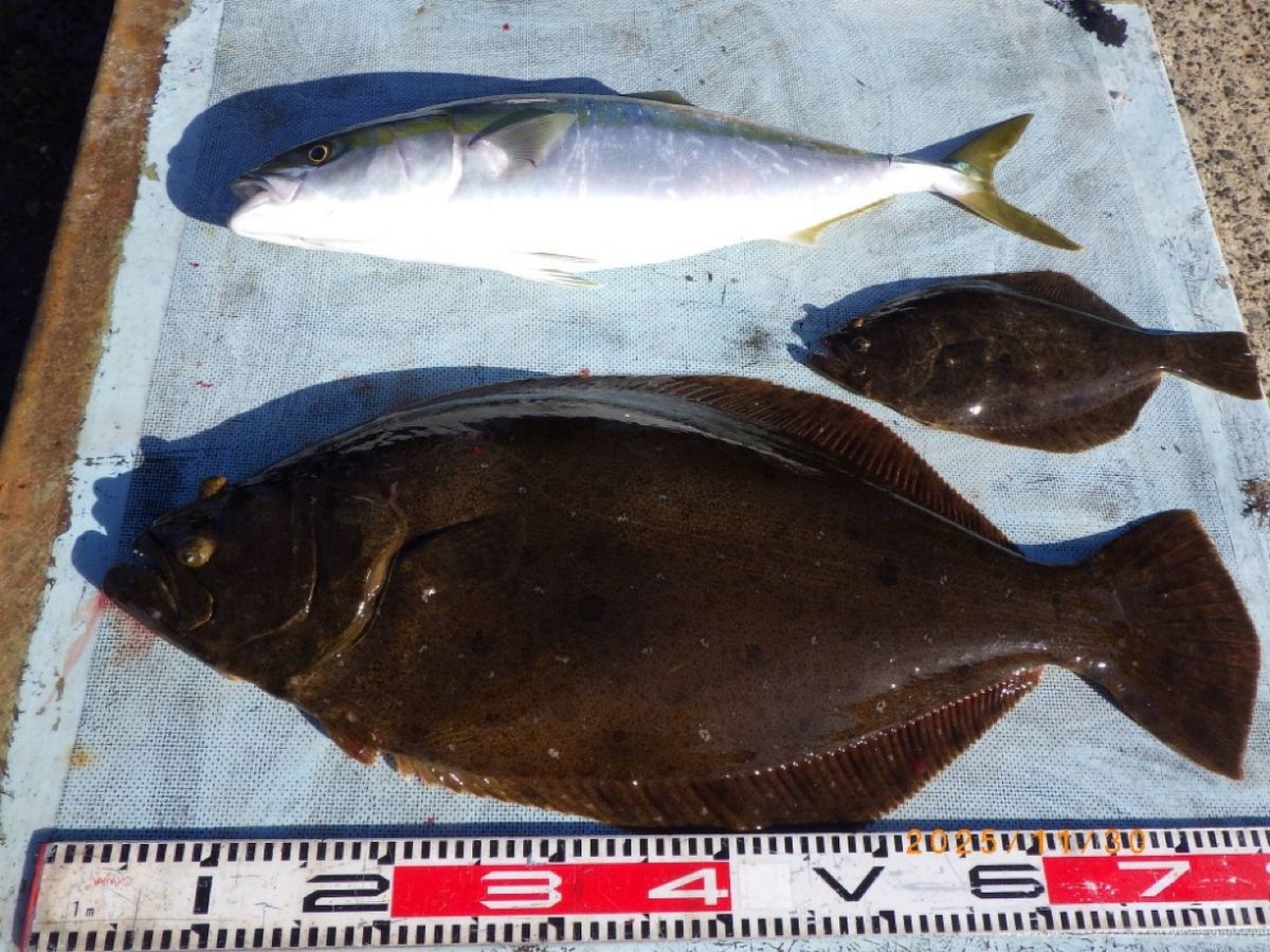 石川釣船@船長さんの釣果 2枚目の画像