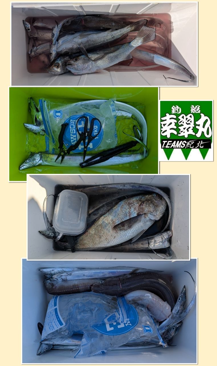 幸翠丸さんの釣果 1枚目の画像