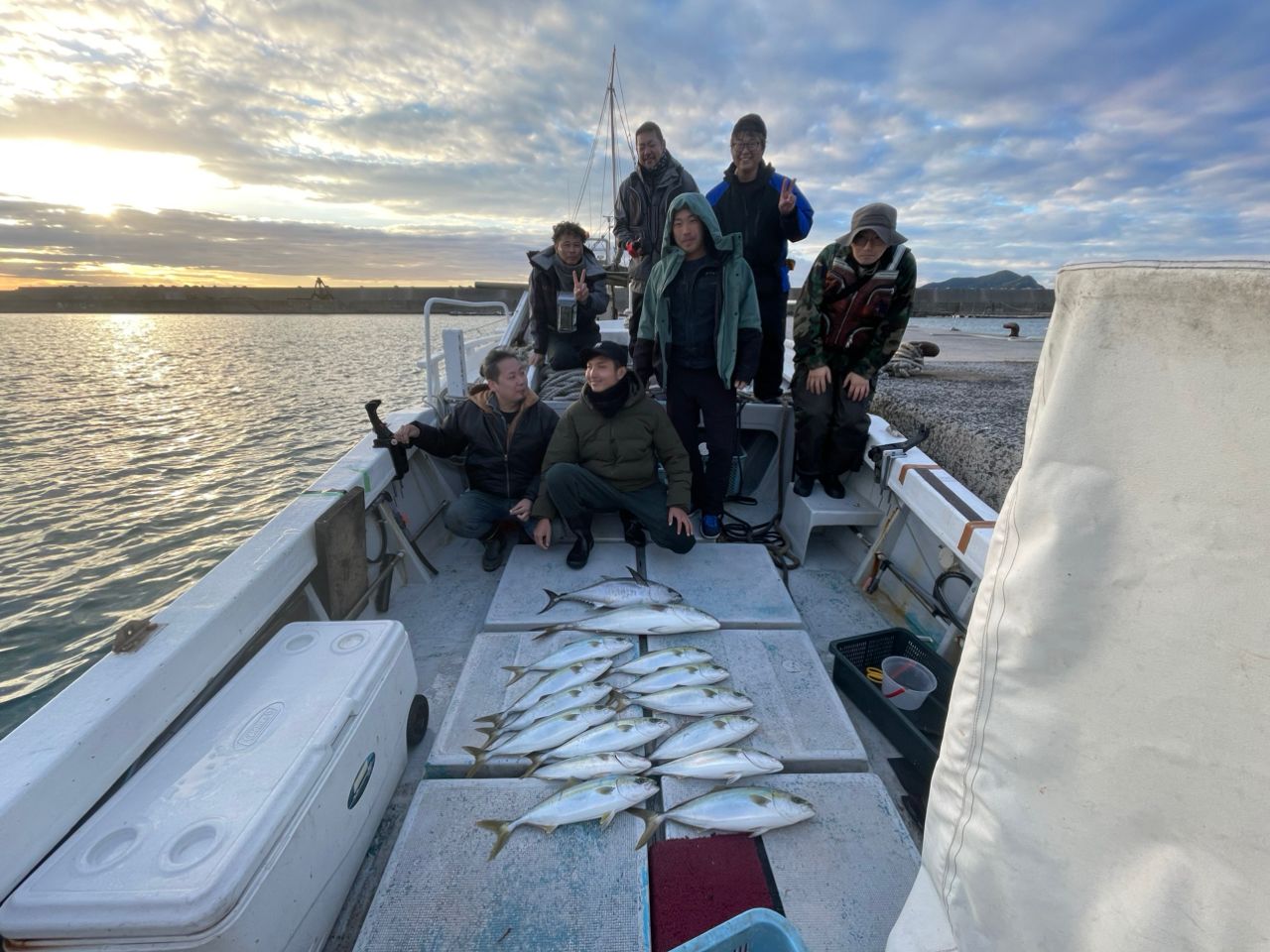 コシナガマグロ