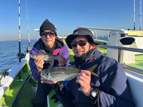 マアジの釣果