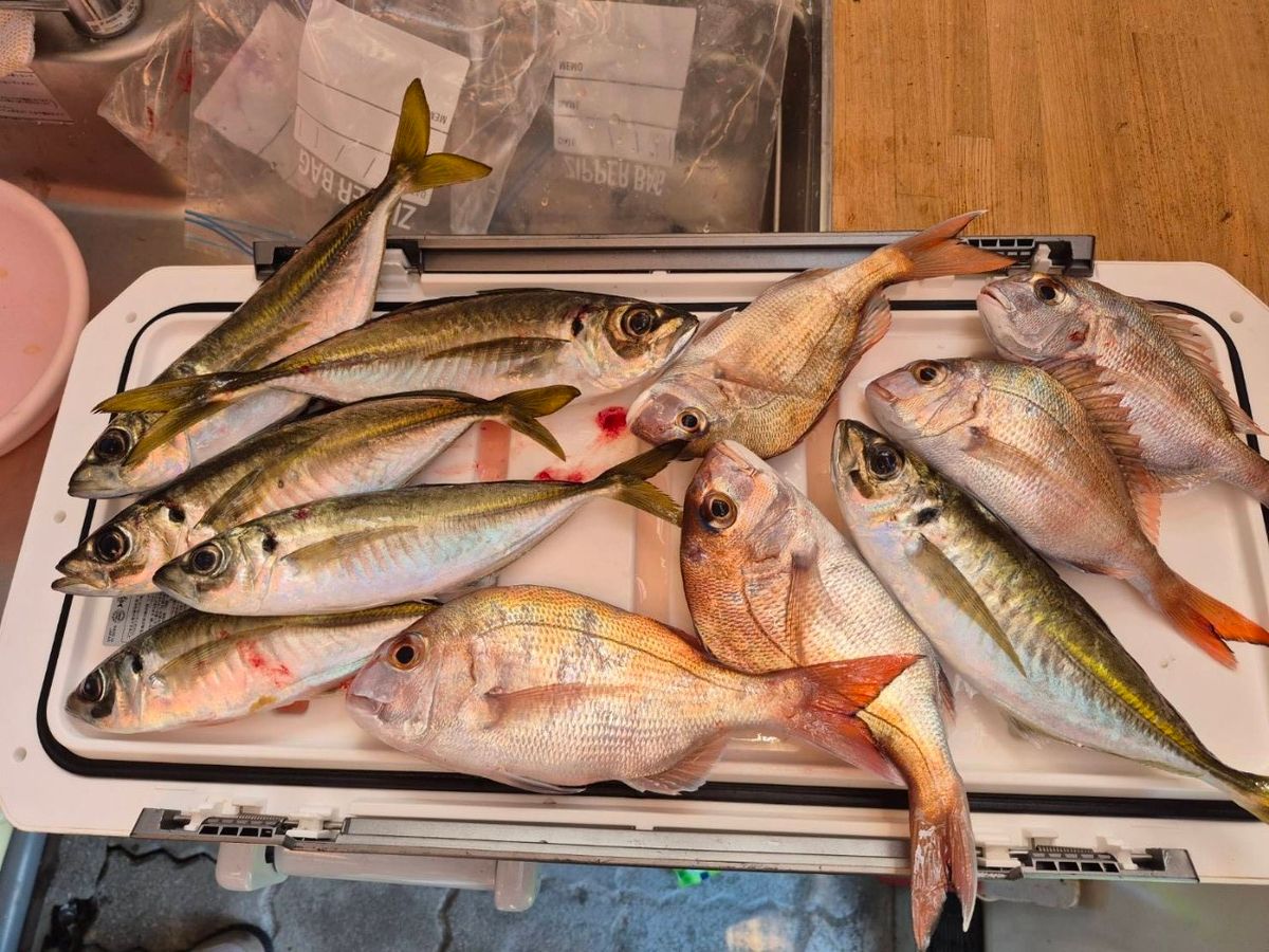 あん子とぐら男さんの釣果 1枚目の画像