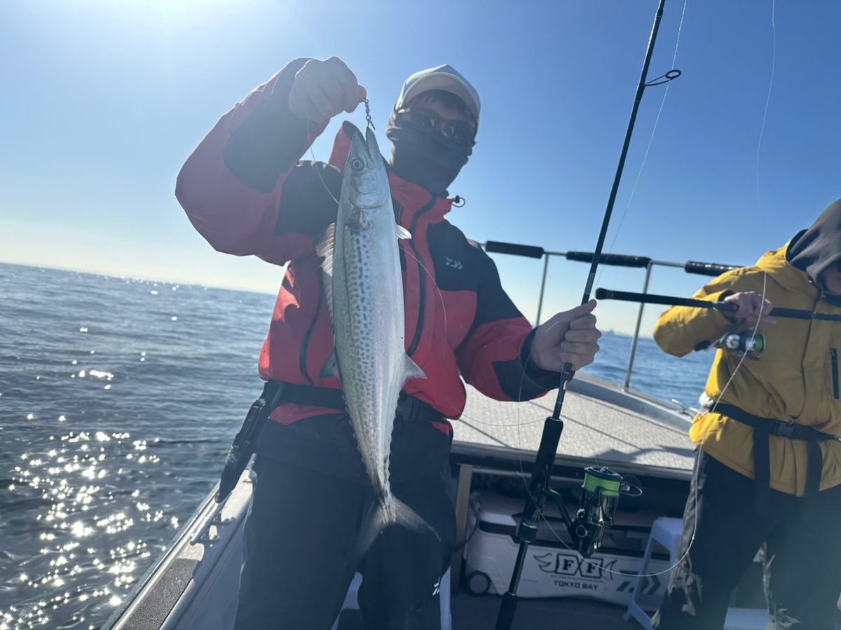 Furuhashi_offshoreさんの釣果 1枚目の画像