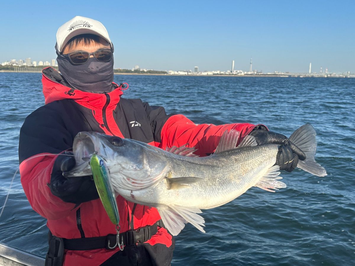 Furuhashi_offshoreさんの釣果 1枚目の画像