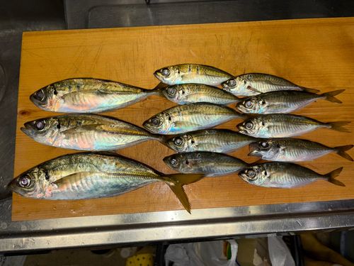 長浜港（伊予）