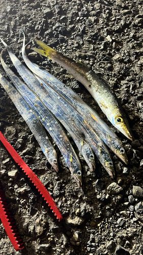 みやざき臨海公園