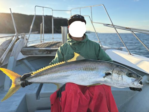 ヒラマサの釣果