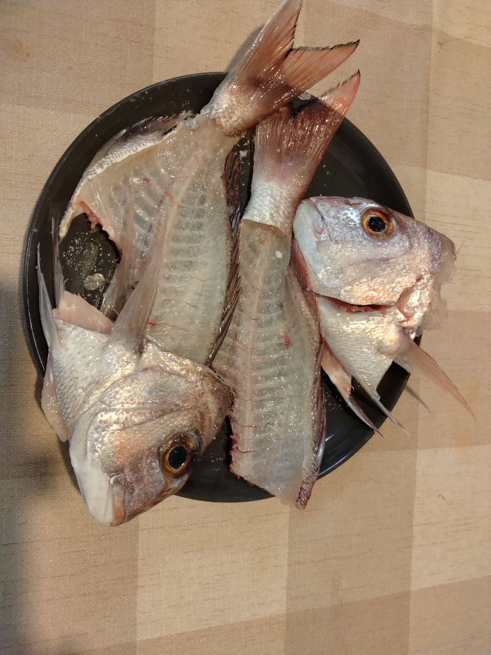 あん子とぐら男さんの釣果 2枚目の画像