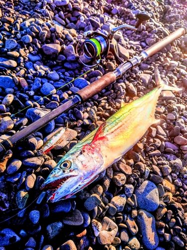 大浜海岸（静岡）