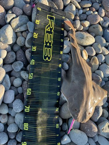 由良川河口（鳥取）