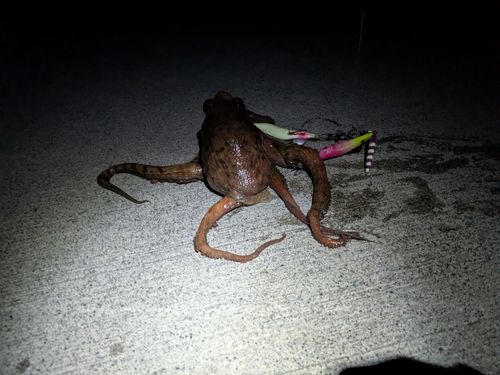 小名浜港アクアマリンふくしま周辺