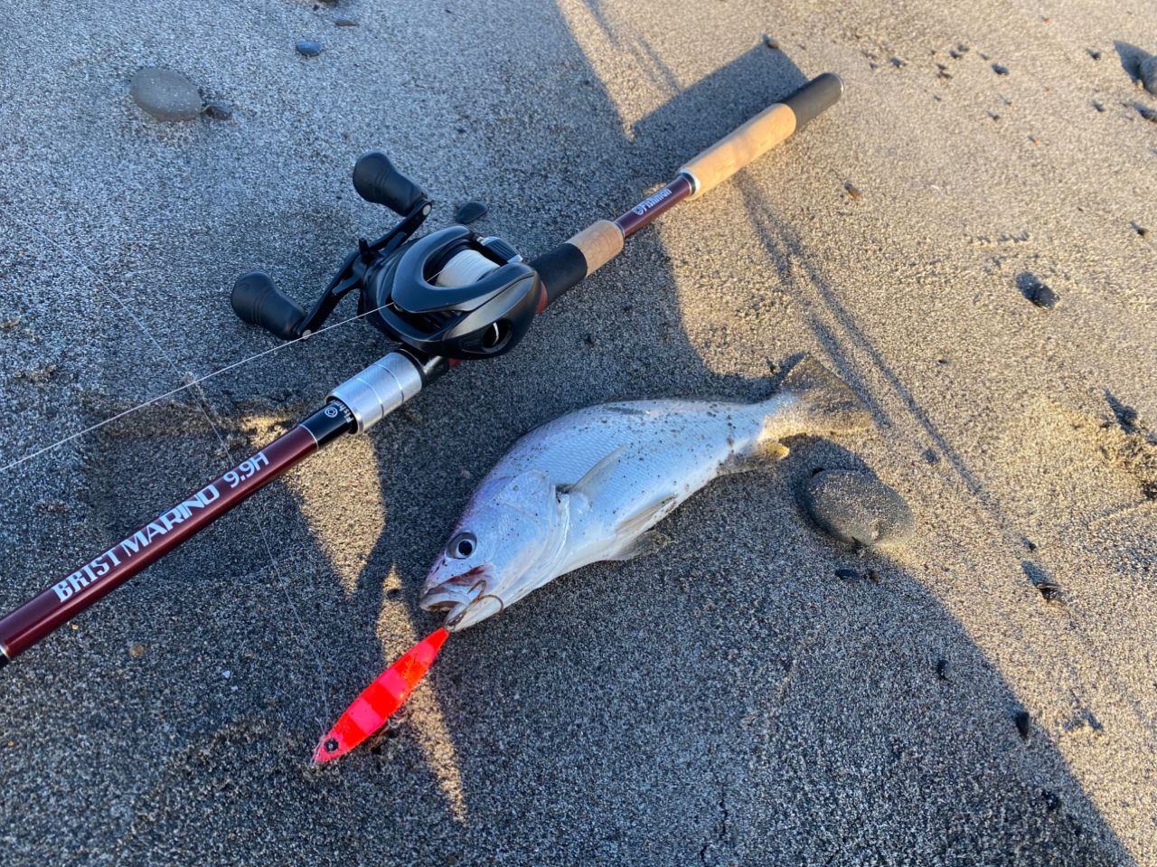 SHIMANO 17エクスセンス DC XG右の最安値・インプレ・釣果 | 本音の