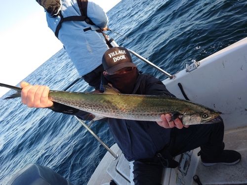 東京湾（アクアライン〜富津）