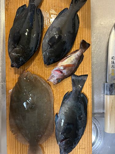 鹿島港魚釣園
