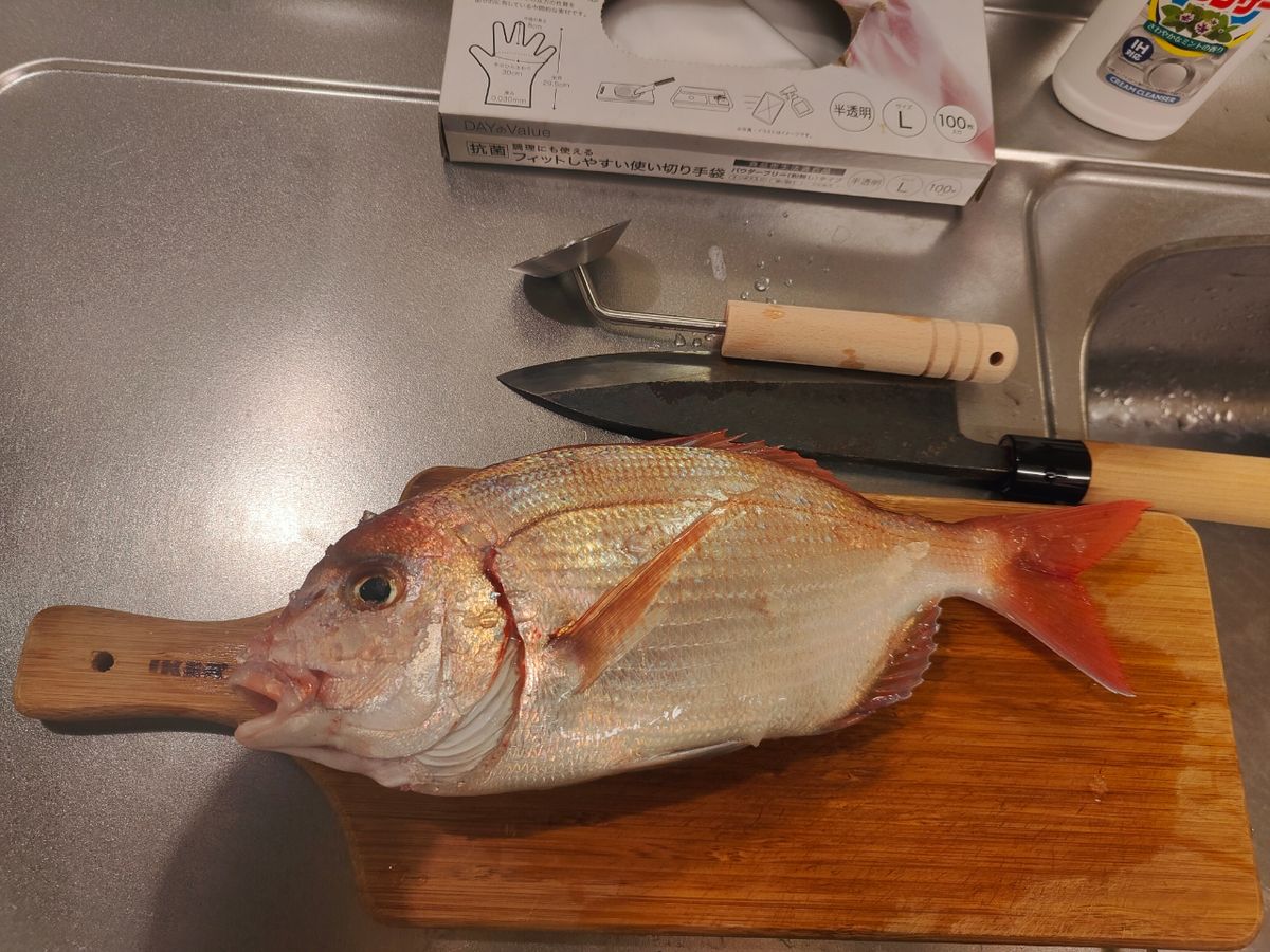 ハムイニさんの釣果 1枚目の画像