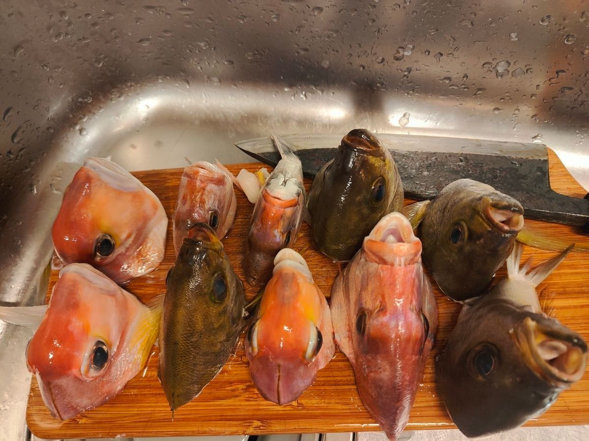 ハムイニさんの釣果 3枚目の画像