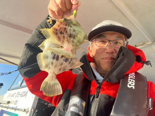 カワハギの釣果