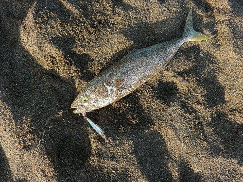 柿崎中央海水浴場