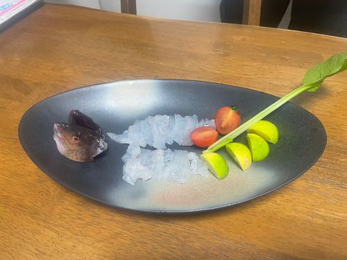 シブダイの釣果