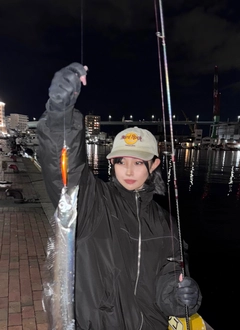 タチウオの釣果