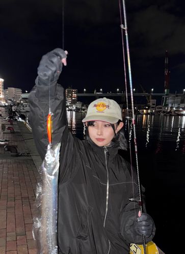 タチウオの釣果