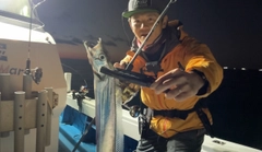 タチウオの釣果