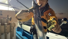 タチウオの釣果