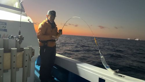 タチウオの釣果