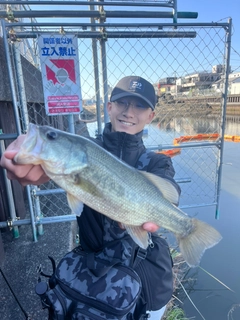 ラージマウスバスの釣果