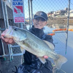 ラージマウスバス