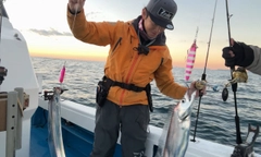 タチウオの釣果