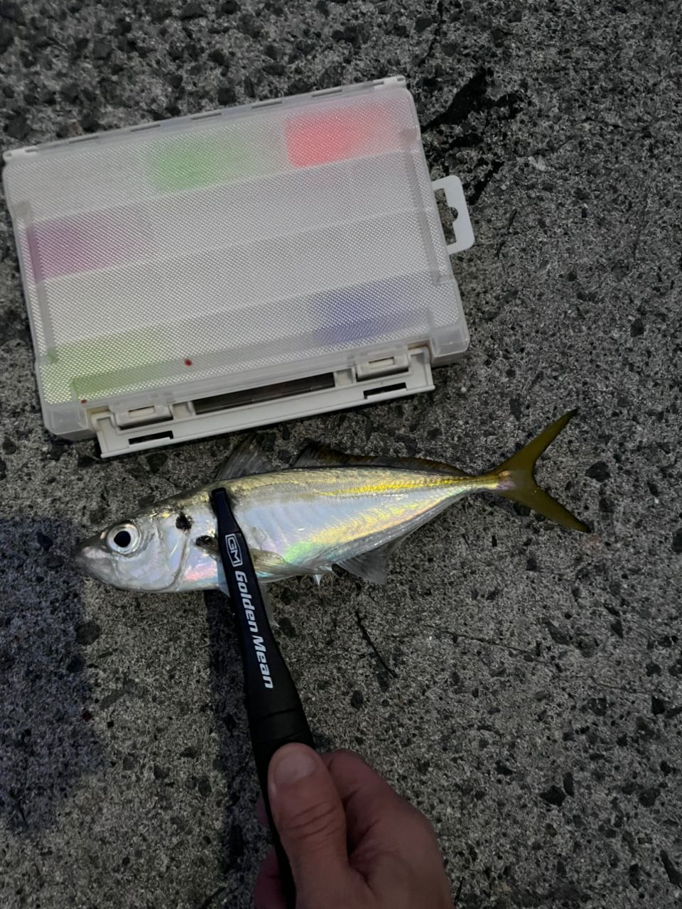 SHIMANO 22ソアレ SS アジング S64L-Sの最安値・インプレ・釣果 | 本音