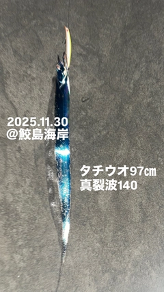 タチウオの釣果