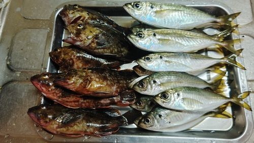 東京湾（アクアライン〜富津）