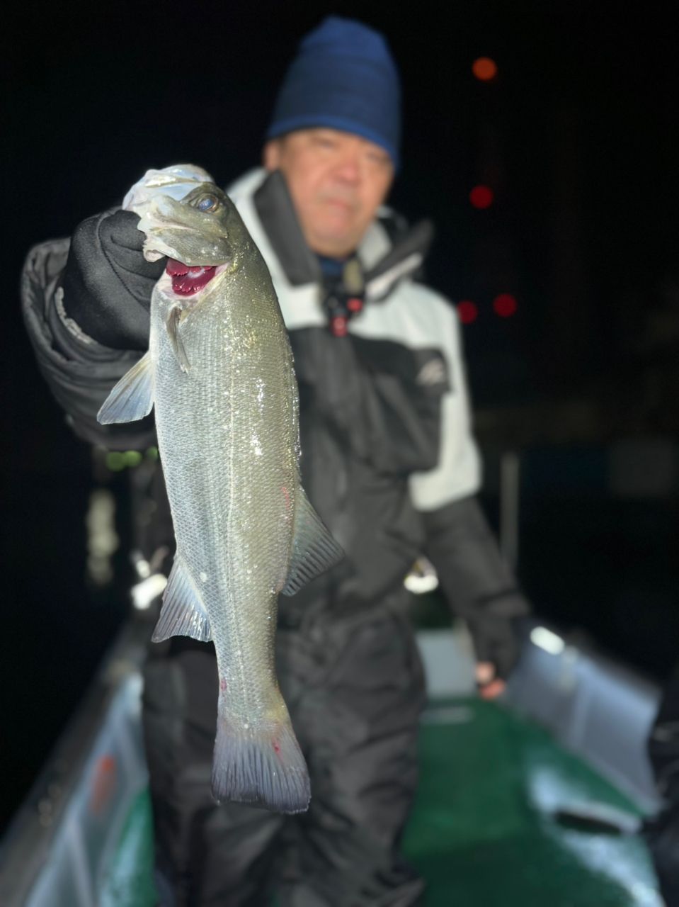 TARGET Chibaさんの釣果 3枚目の画像