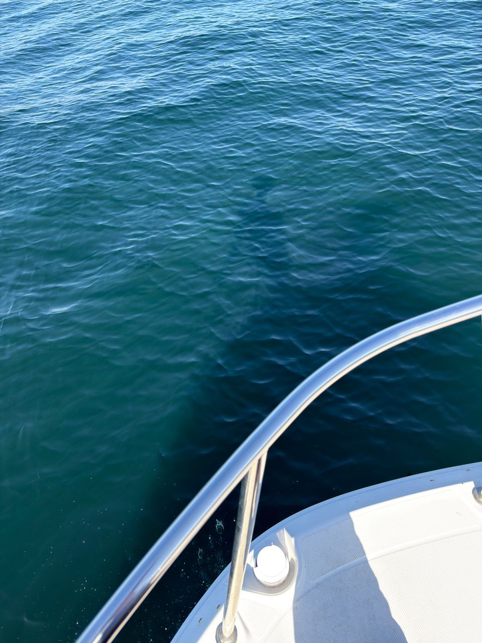 takumaaaaaaaさんの釣果 2枚目の画像