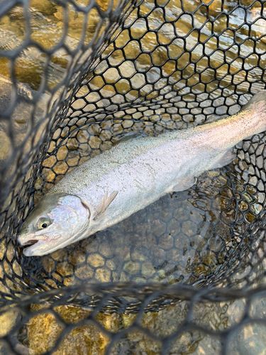 天竜川気田川合流