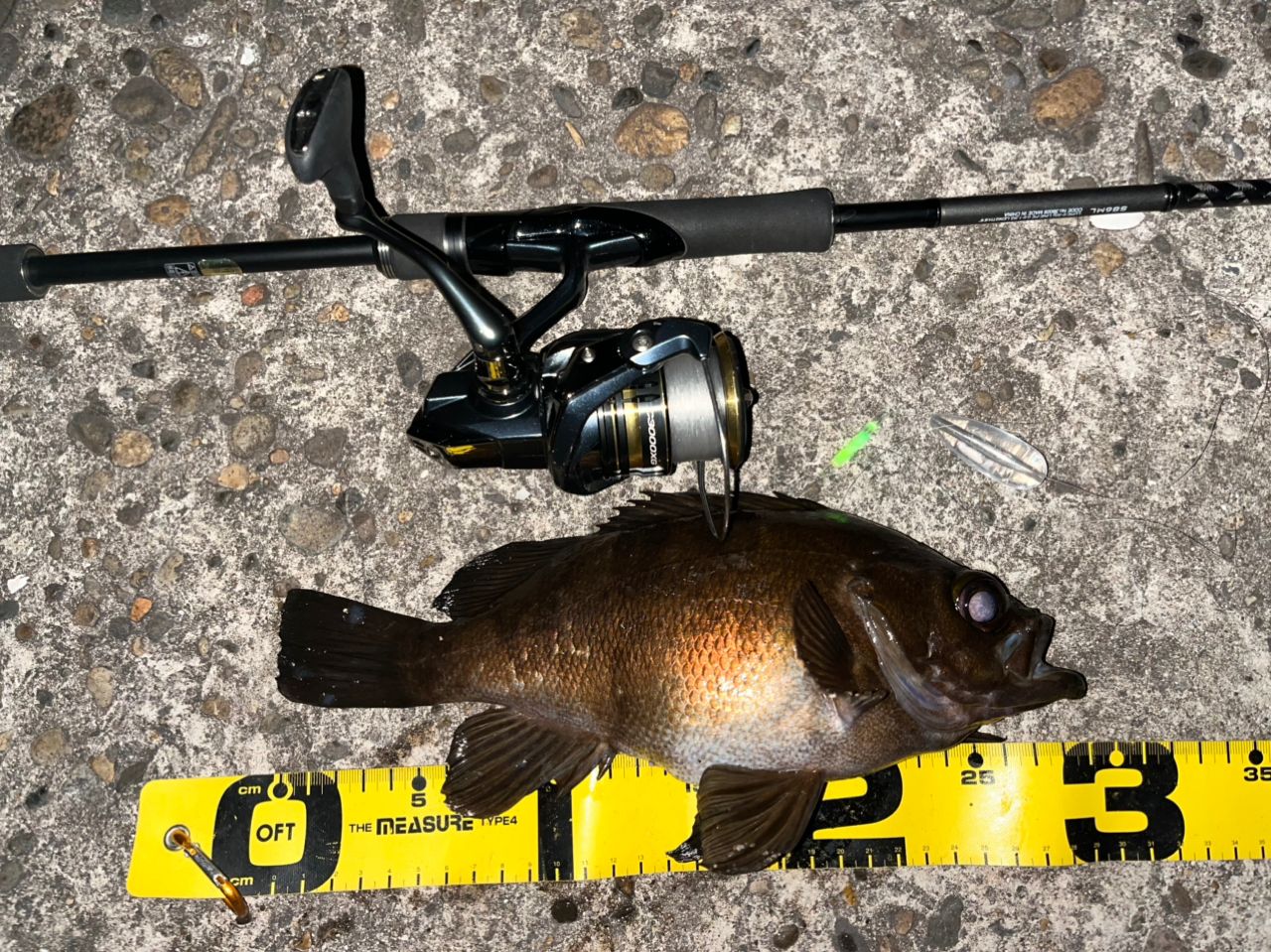 SHIMANO 18ディアルーナ S86MLの最安値・インプレ・釣果 | 本音の