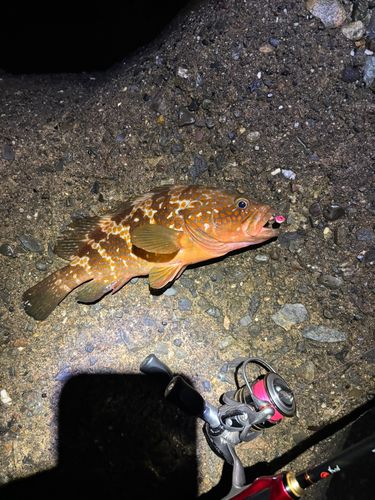 日吉原公共埠頭